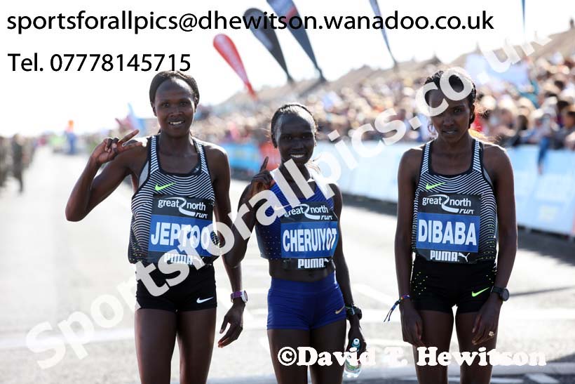 Womens Great North Run. Photo: David T. Hewitson/Sports for All Pics